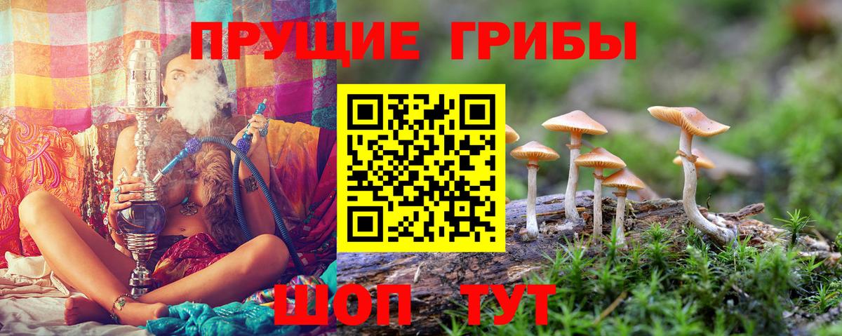 Мурманск  Псилоцибиновые грибы Psilocybine cubensis  магазин    Вход с VPN 